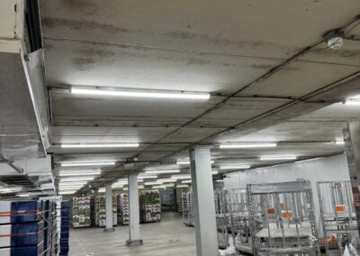 Verlichting bij M&M Flor in Honselersdijk!